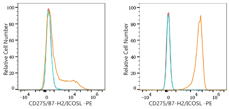 PE Rabbit anti-Human CD275/B7-H2/ICOSL mAb