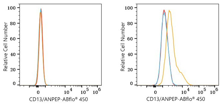 ABflo® 450 Rabbit anti-Human CD13/ANPEP mAb