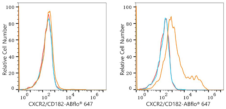 ABflo® 647 Mouse IgG 2c isotype control