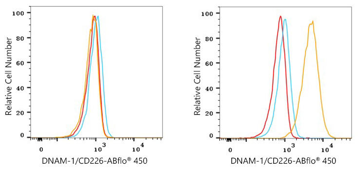 ABflo® 450 Rabbit anti-Human CD226/DNAM-1 mAb