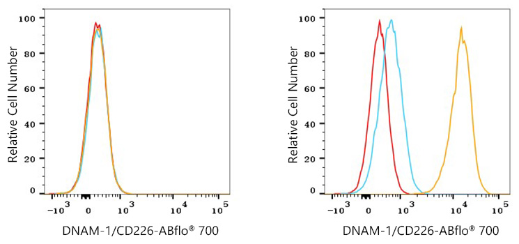 ABflo® 700 Rabbit anti-Human CD226/DNAM-1 mAb