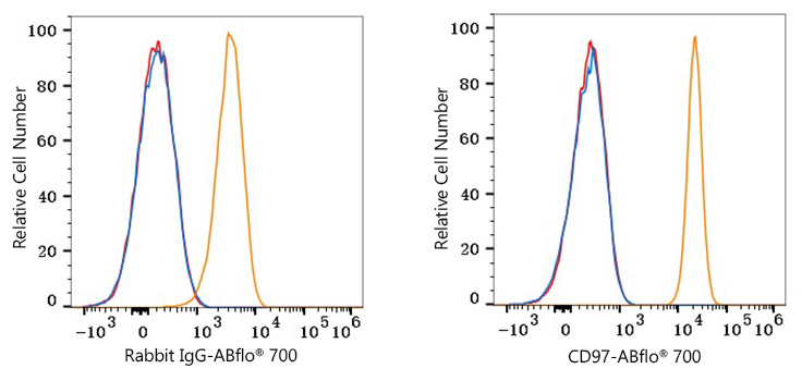 ABflo® 700 Rabbit anti-Human CD97 mAb