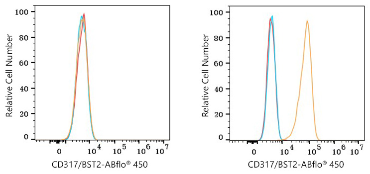 ABflo® 450 Rabbit anti-Human CD317/BST2 mAb