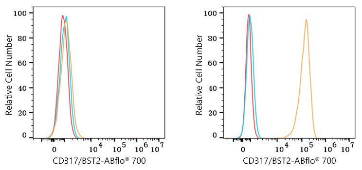 ABflo® 700 Rabbit anti-Human CD317/BST2 mAb