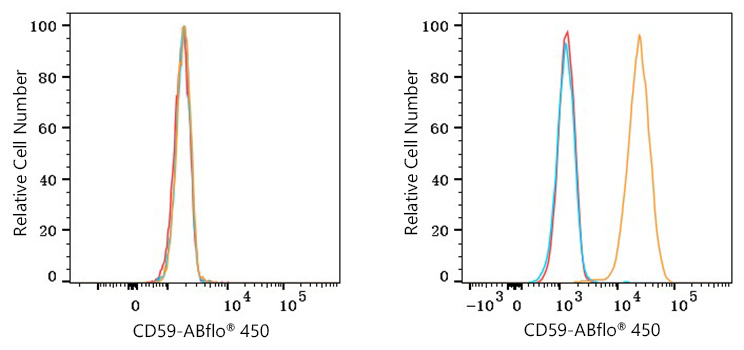 ABflo® 450 Rabbit anti-Human CD59 mAb