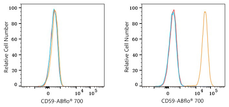 ABflo® 700 Rabbit anti-Human CD59 mAb