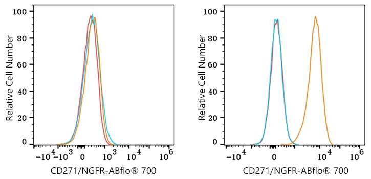 ABflo® 700 Rabbit anti-Human CD271/NGFR mAb