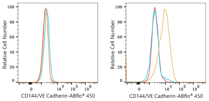 ABflo® 450 Rabbit anti-Human CD144/VE Cadherin mAb