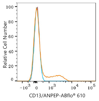 ABflo® 610 Rabbit anti-Human CD13/ANPEP mAb