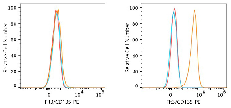 PE Rabbit anti-Human Flt3/CD135 mAb