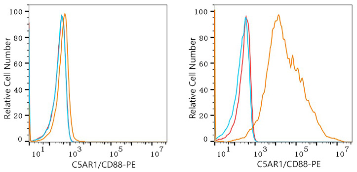 PE Rabbit anti-Human C5AR1/CD88 mAb