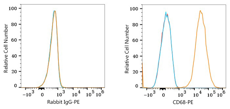 PE Rabbit anti-Mouse CD68 mAb