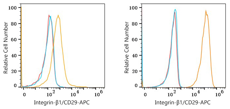 APC Rabbit anti-Human Integrin-β1/CD29 mAb