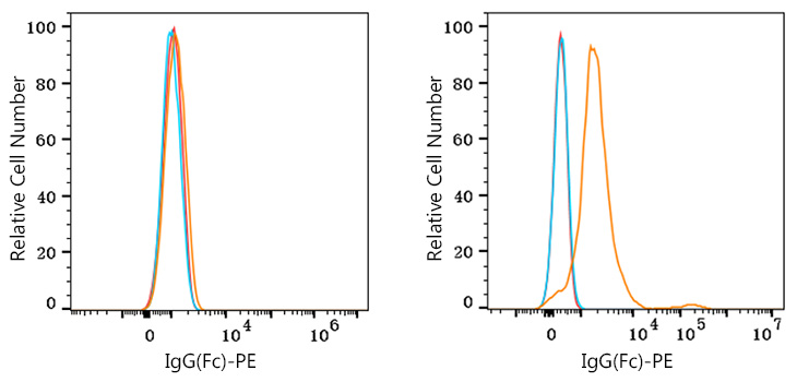 PE Rabbit anti-Human IgG (Fc) mAb