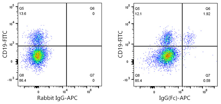 APC Rabbit anti-Human IgG (Fc) mAb