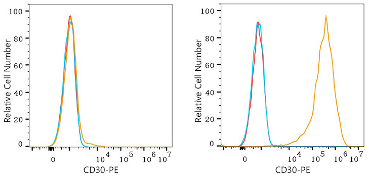 PE Rabbit anti-Human CD30 mAb