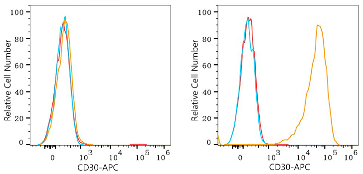 APC Rabbit anti-Human CD30 mAb