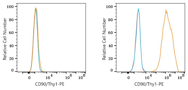 PE Rabbit anti-Human CD90/Thy1 mAb