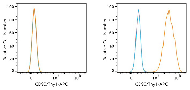 APC Rabbit anti-Human CD90/Thy1 mAb