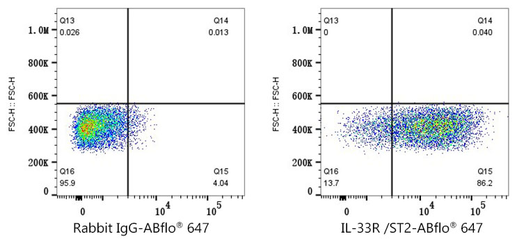 ABflo® 647 Rabbit anti-Mouse IL-33R/ST2 mAb