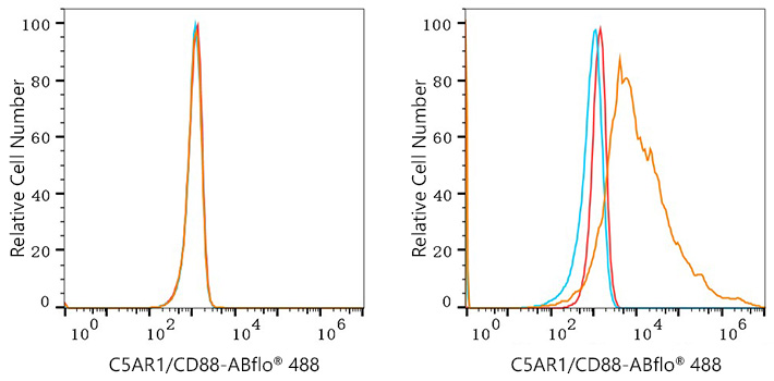 ABflo® 488 Rabbit anti-Human C5AR1/CD88 mAb