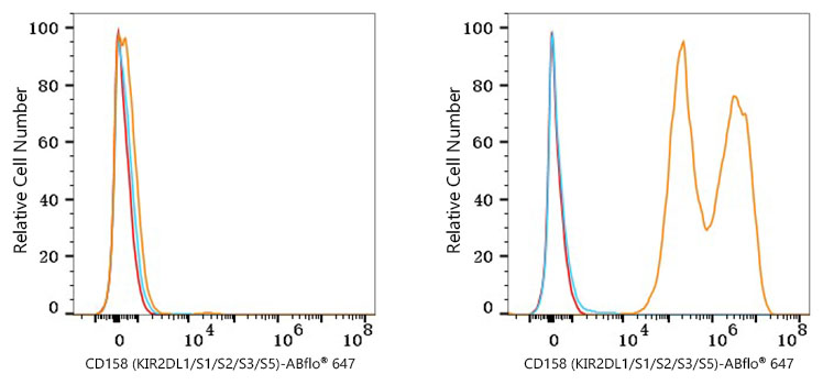 ABflo® 647 Rabbit anti-Human CD158 (KIR2DL1/S1/S2/S3/S5) mAb