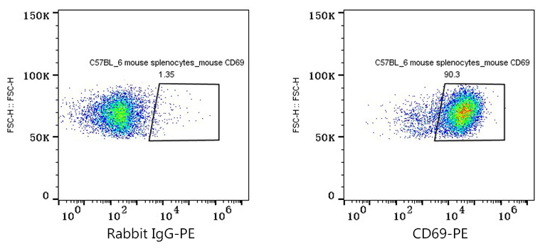 PE Rabbit anti-Mouse CD69 mAb