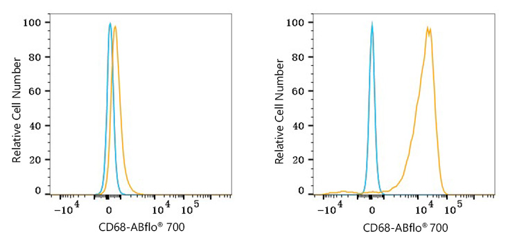 ABflo® 700 Rabbit anti-Mouse CD68 mAb