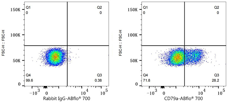 ABflo® 700 Rabbit anti-Human CD79a mAb