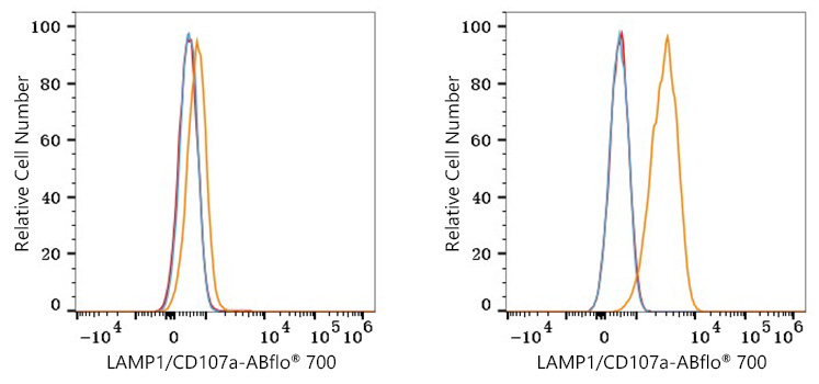 ABflo® 700 Rabbit anti-Human LAMP1/CD107a mAb