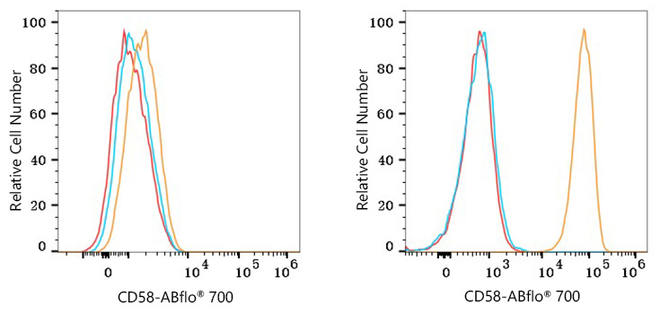 ABflo® 700 Rabbit anti-Human CD58 mAb