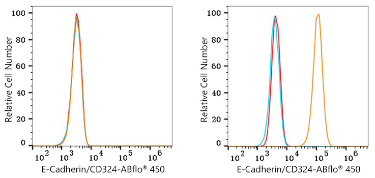 ABflo® 450 Rabbit anti-Human E-Cadherin/CD324 mAb