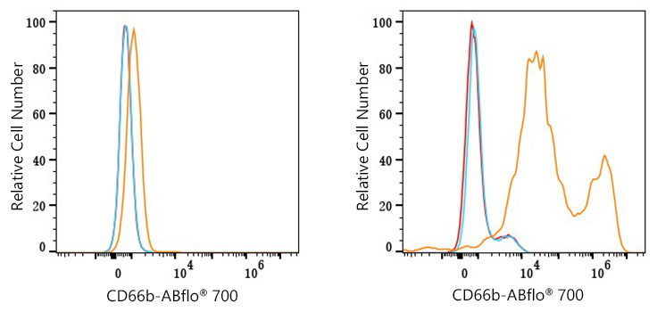 ABflo® 700 Rabbit anti-Human CD66b mAb