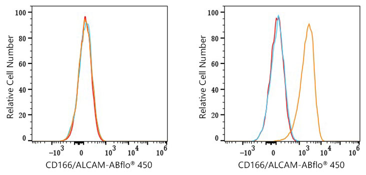 ABflo® 450 Rabbit anti-Human CD166/ALCAM mAb