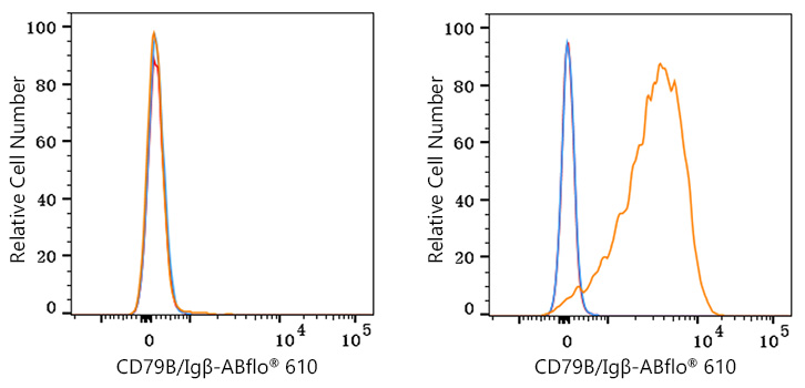 ABflo® 610 Rabbit anti-Human CD79B/Igβ mAb