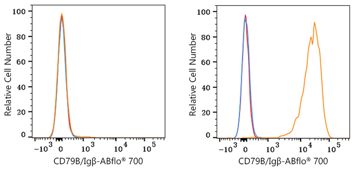 ABflo® 700 Rabbit anti-Human CD79B/Igβ mAb