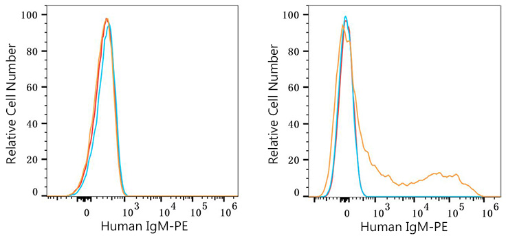 PE Rabbit anti-Human IgM mAb