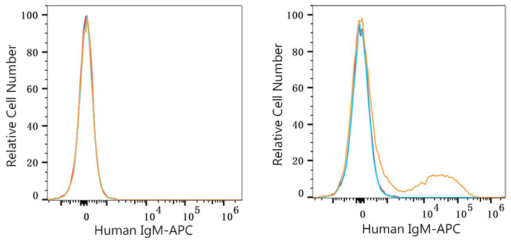 APC Rabbit anti-Human IgM mAb