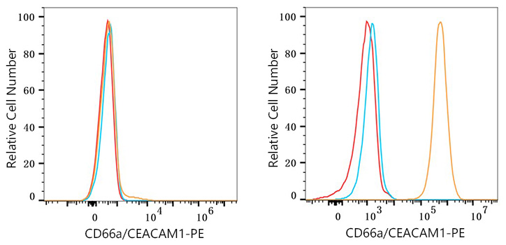 PE Rabbit anti-Human CD66a/CEACAM1 mAb