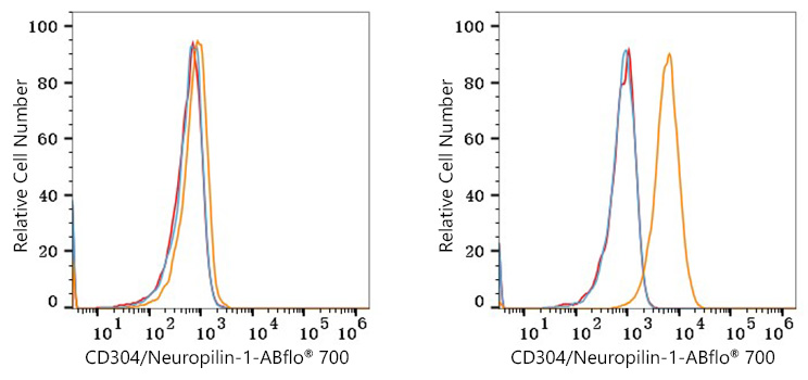 ABflo® 700 Rabbit anti-Human CD304/Neuropilin-1 mAb