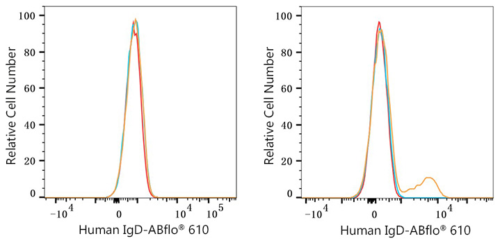 ABflo® 610 Rabbit anti-Human IgD mAb