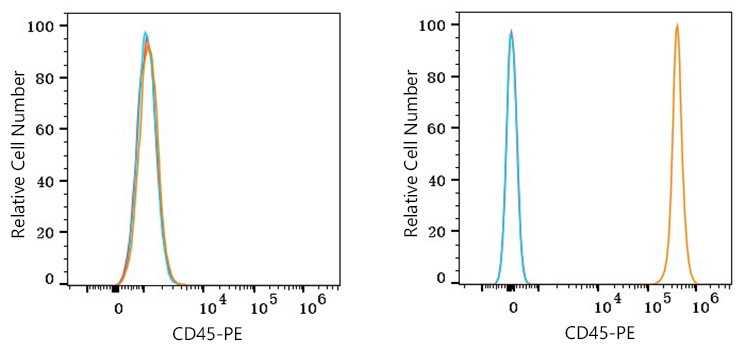 PE Rabbit anti-Mouse CD45 mAb