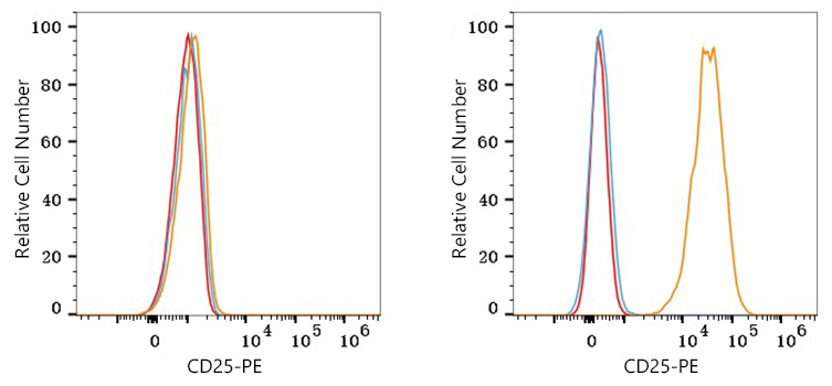 PE Rabbit anti-Mouse CD25 mAb