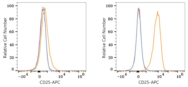 APC Rabbit anti-Mouse CD25 mAb