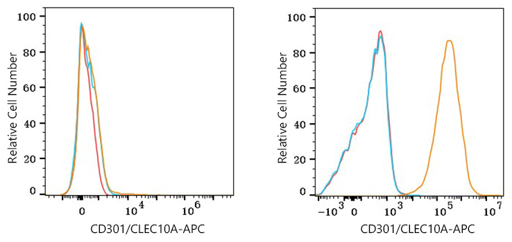 APC Rabbit anti-Human CD301/CLEC10A mAb