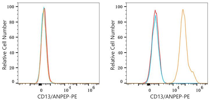 PE Rabbit anti-Human CD13/ANPEP mAb