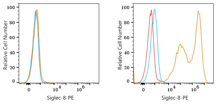 PE Rabbit anti-Human Siglec-8 mAb