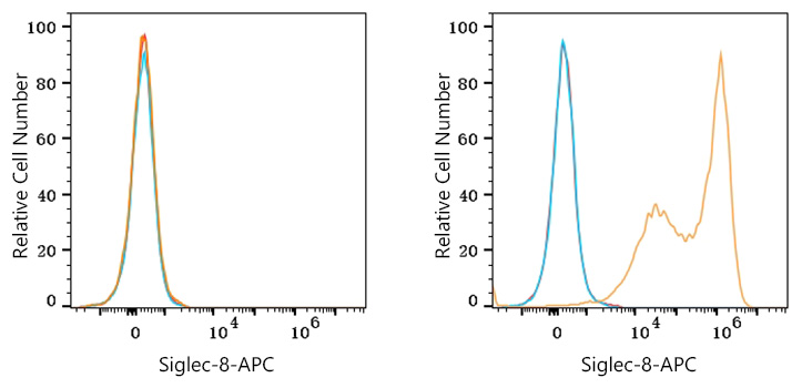 APC Rabbit anti-Human Siglec-8 mAb