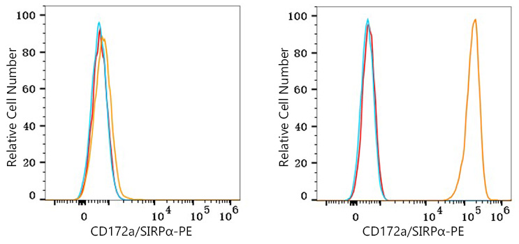 PE Rabbit anti-Human CD172a/SIRPα mAb