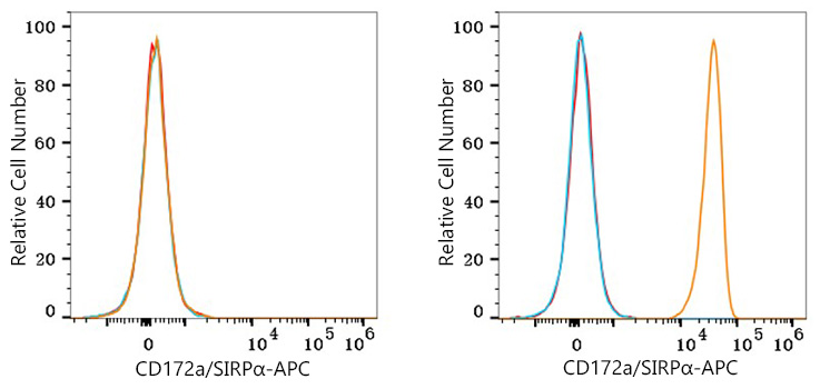 APC Rabbit anti-Human CD172a/SIRPα mAb